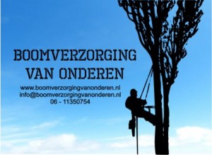 Boomverzorging van Onderen